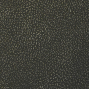 Экокожа Brandy Coventry Black