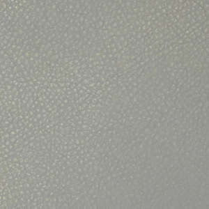 Экокожа Brandy Coventry DK Grey