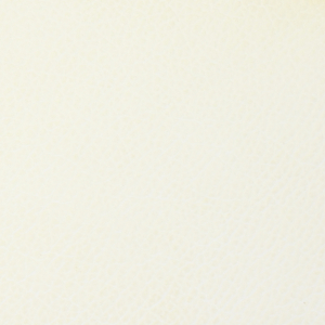 Экокожа Brandy Coventry White